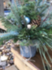 IMG_6497.jpeg