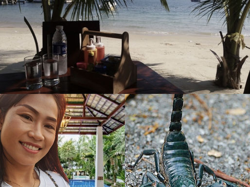 Let's talk about Koh Tao in 2024