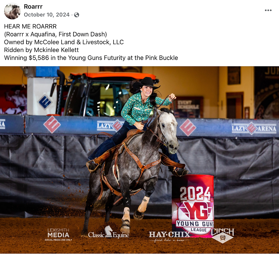 Thumbnail: 2nd Foal- Hear Me Roarrr x Winners Version 2027 Embryo in Recip Utero