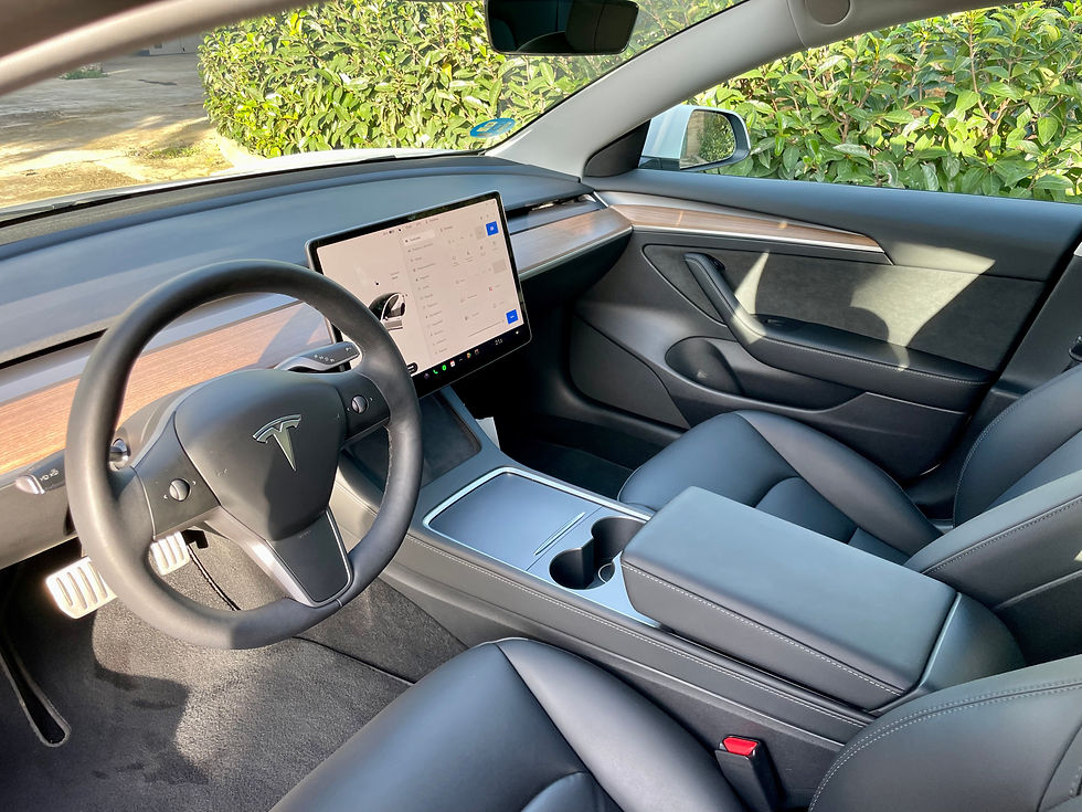 Miniatura: Tesla Model 3 Performance