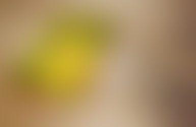 脳には妙なクセがある