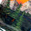 Thumbnail: Close up view of the hand-painted trees along the waters edge on the  "Rocky Mountain Sunset" Rolling Tray