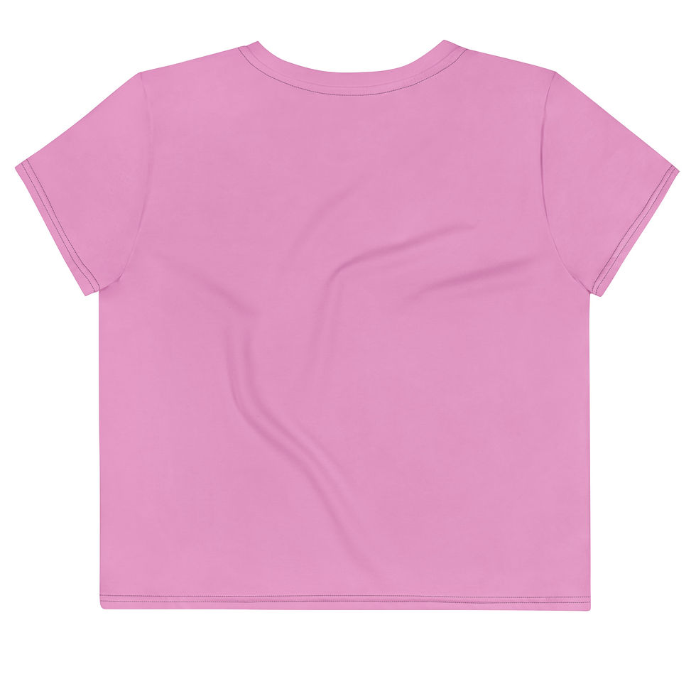 back view of the stoner brat crop top tee