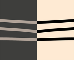 A Man and a Woman working together