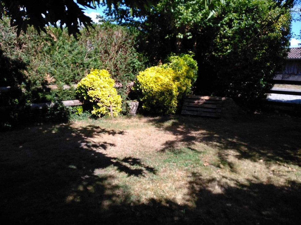 Jardin