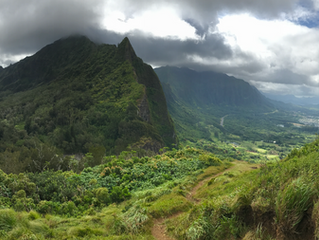 ASLA Hawaii Support Featured in Senate Passage of the "Great American Outdoors Act."