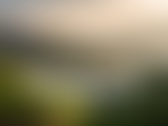 Bold white font of a header saying: "Building brands from the grounds up" over the rolling hills of a coffee plantation.