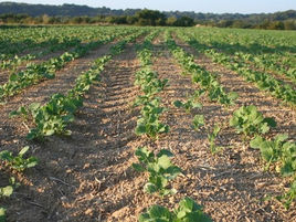 Message Technique N° 1