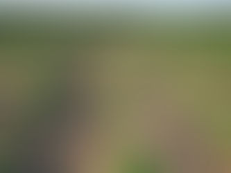 Message Technique N° 1