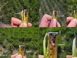 Message Technique N° 3