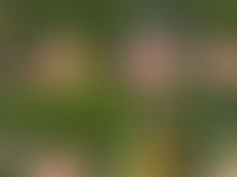 Message Technique N° 3