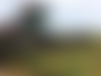 Message Technique N° 12