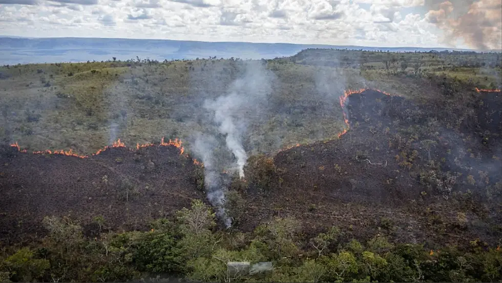 Queima prescrita em Chapada dos Guimarães — Foto: ICMBio/G1 MT