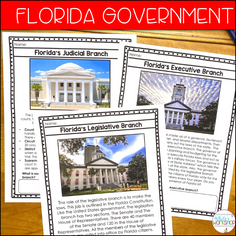 Three Branches of Florida Government 