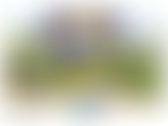 Les falaises des Confessionnaux entre Luc et Lion-sur- Mer