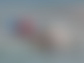 Les Radolympiades de la Baleine