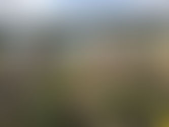 Journées du patrimoine – Visite guidée : un port, une île, des huîtres, une histoire courseullaise