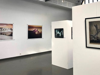 Festival les Boréales