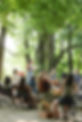 OHG-terra-viva-photo-1.jpg