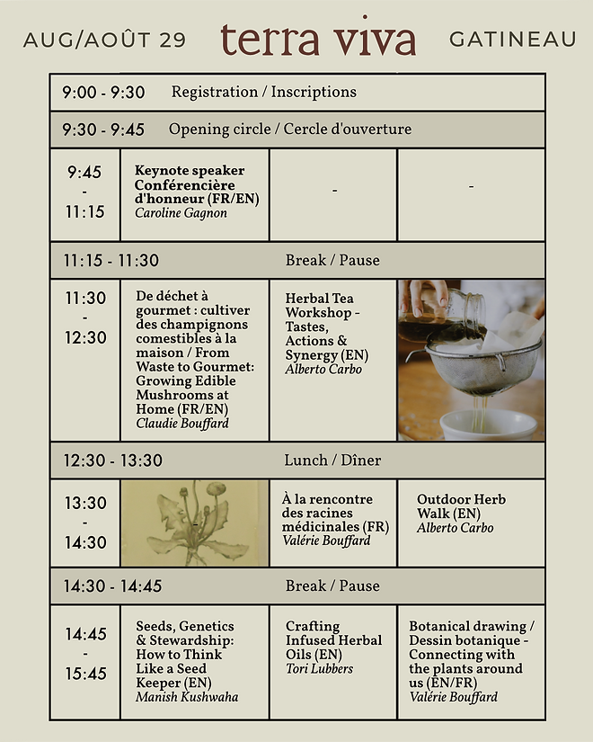 Workshop-Schedule-TerraViva-2026-social-media.png
