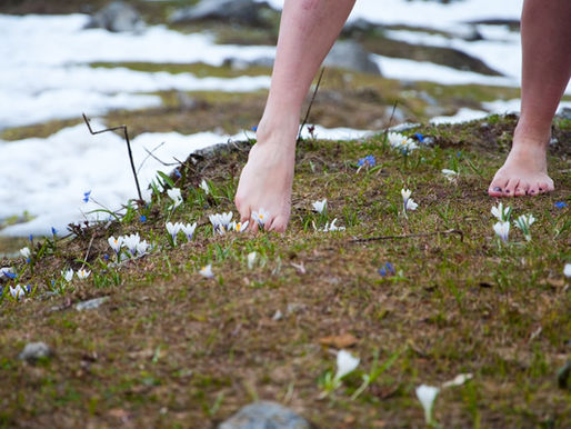 Spring Rebirth, Renewal and Reality