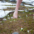 Spring Rebirth, Renewal and Reality