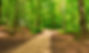 crossroad-two-ways-choose-the-way-picture-id951128716.jpg