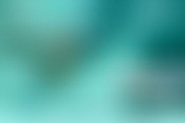 How ERP Solution Helps To Reduce Management And Operational Costs?