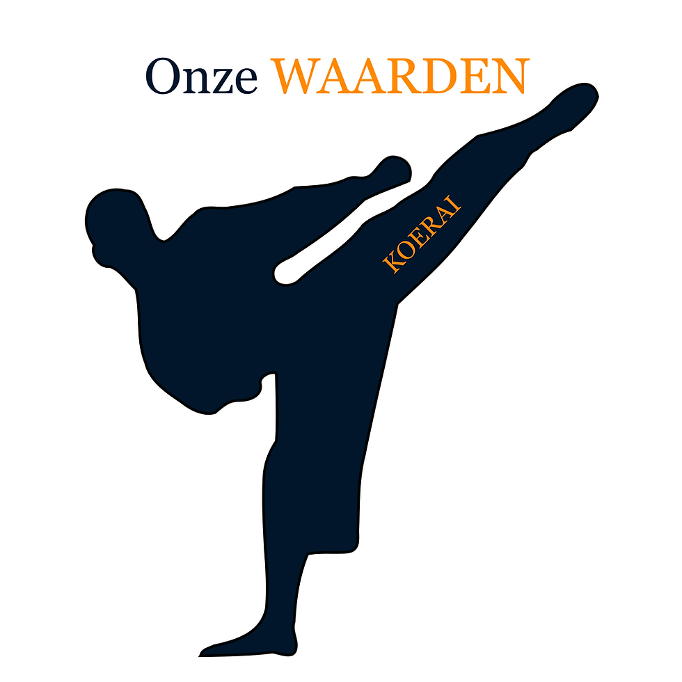 Silhouette karateka trapt hoog, met tekst 'KOERAI', 'Onze WAARDEN' op witte achtergrond.