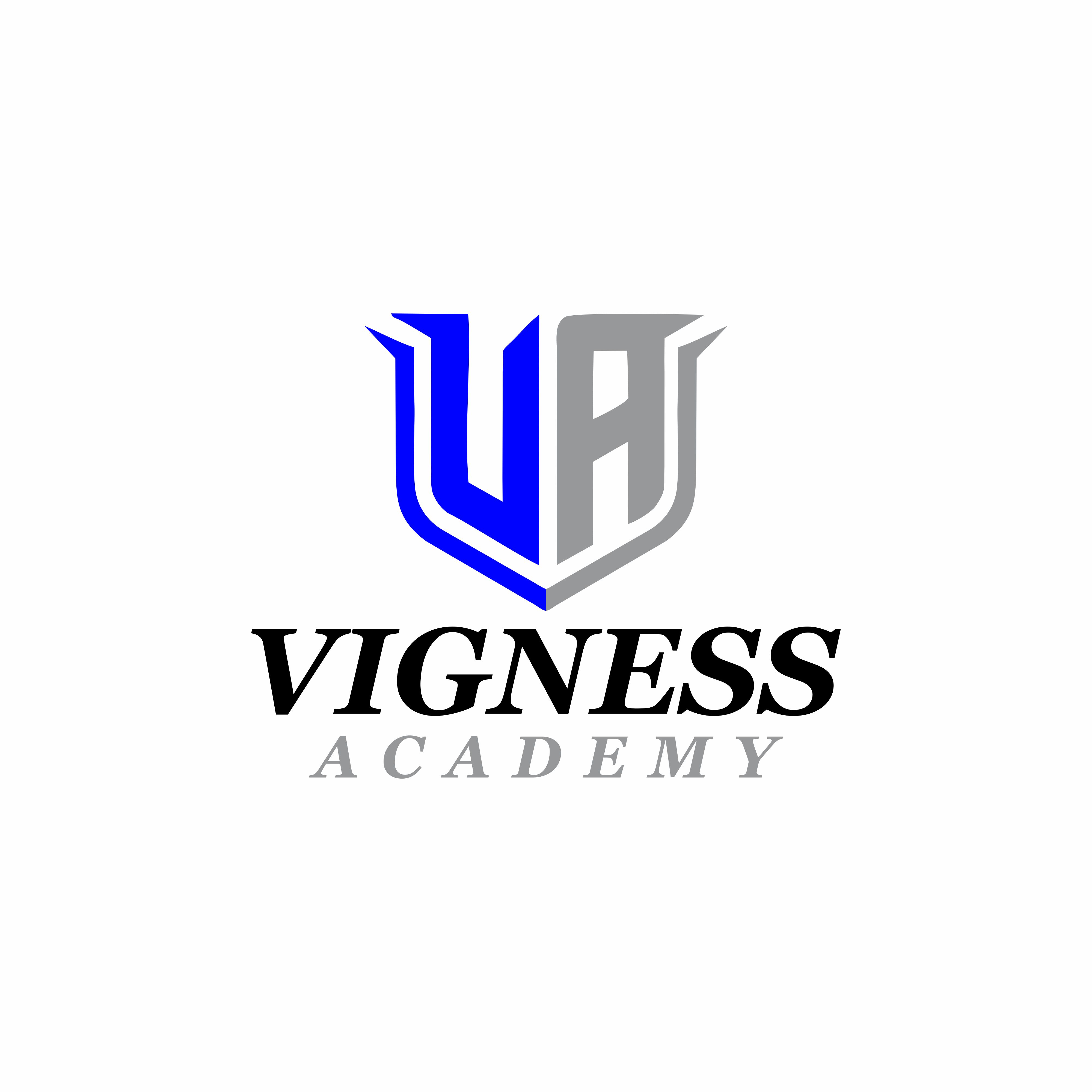 Vigness Academy