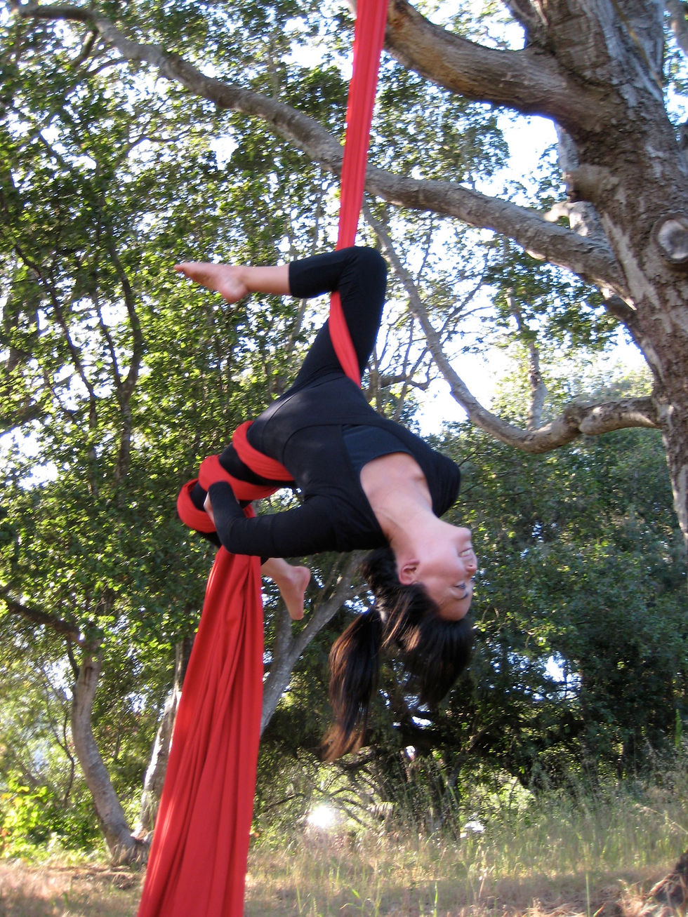 juju hanging in aerial silks
