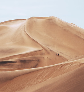 Desert