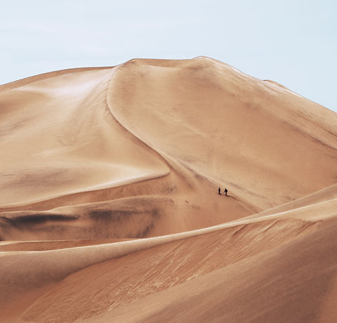 Desert