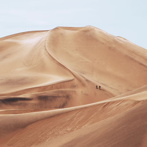 Desert