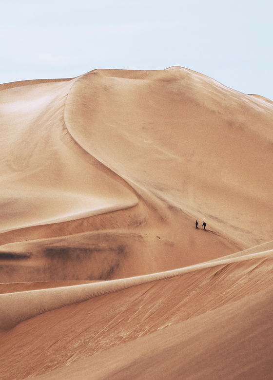 Desert