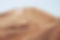 Desert