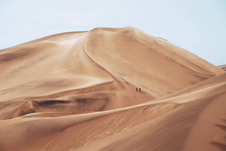 Sinai Desert