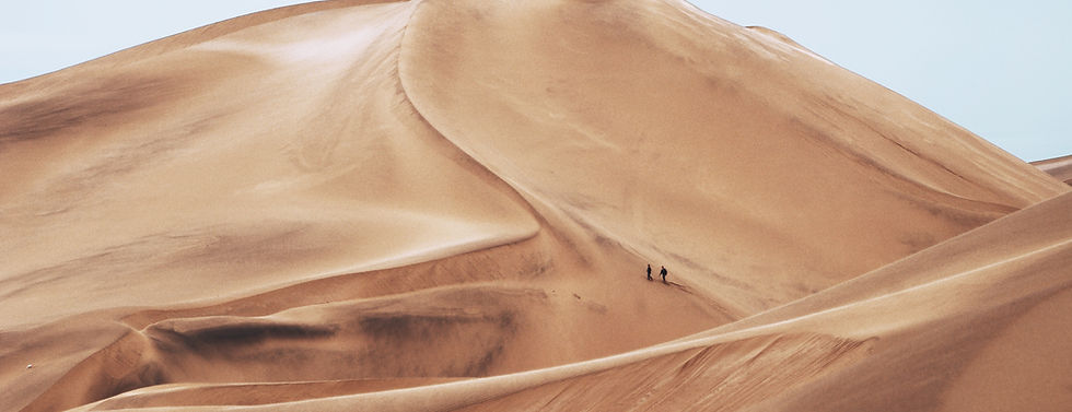 Desert