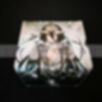 Thumbnail: Overlord Albedo PU Leather Deck Box