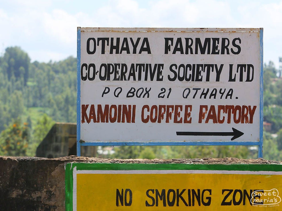 Kenya Nyeri Kamoini AA