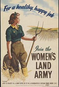 landarmy.jpg