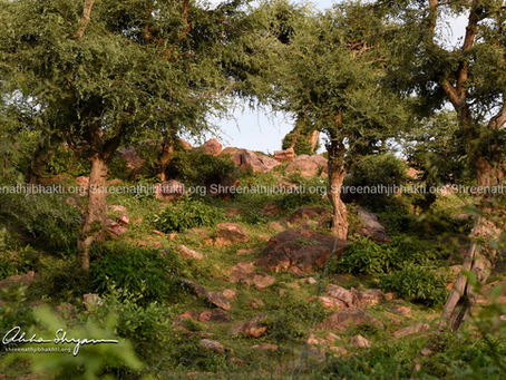 वर्तमान समय में गोवर्धन –गिरिराज पर्वत