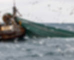 DSC_5478.jpg