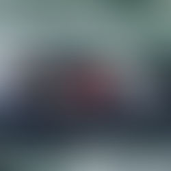 Le RIHM "Abeille Languedoc" veille sur le détroit du Pas-de-Calais