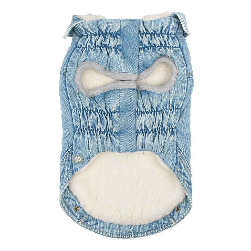Thumbnail: PET Elasto-FIT Light Wash Denim Jacket w/ Popcorn Sherpa