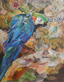 Macaw