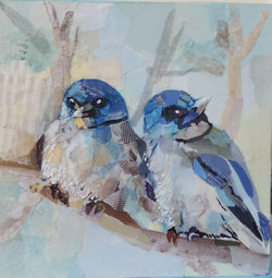 Angry Birds -Sold