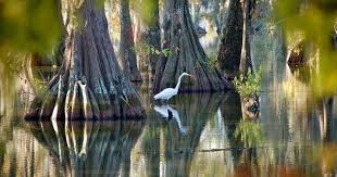 Louisiana, USA
