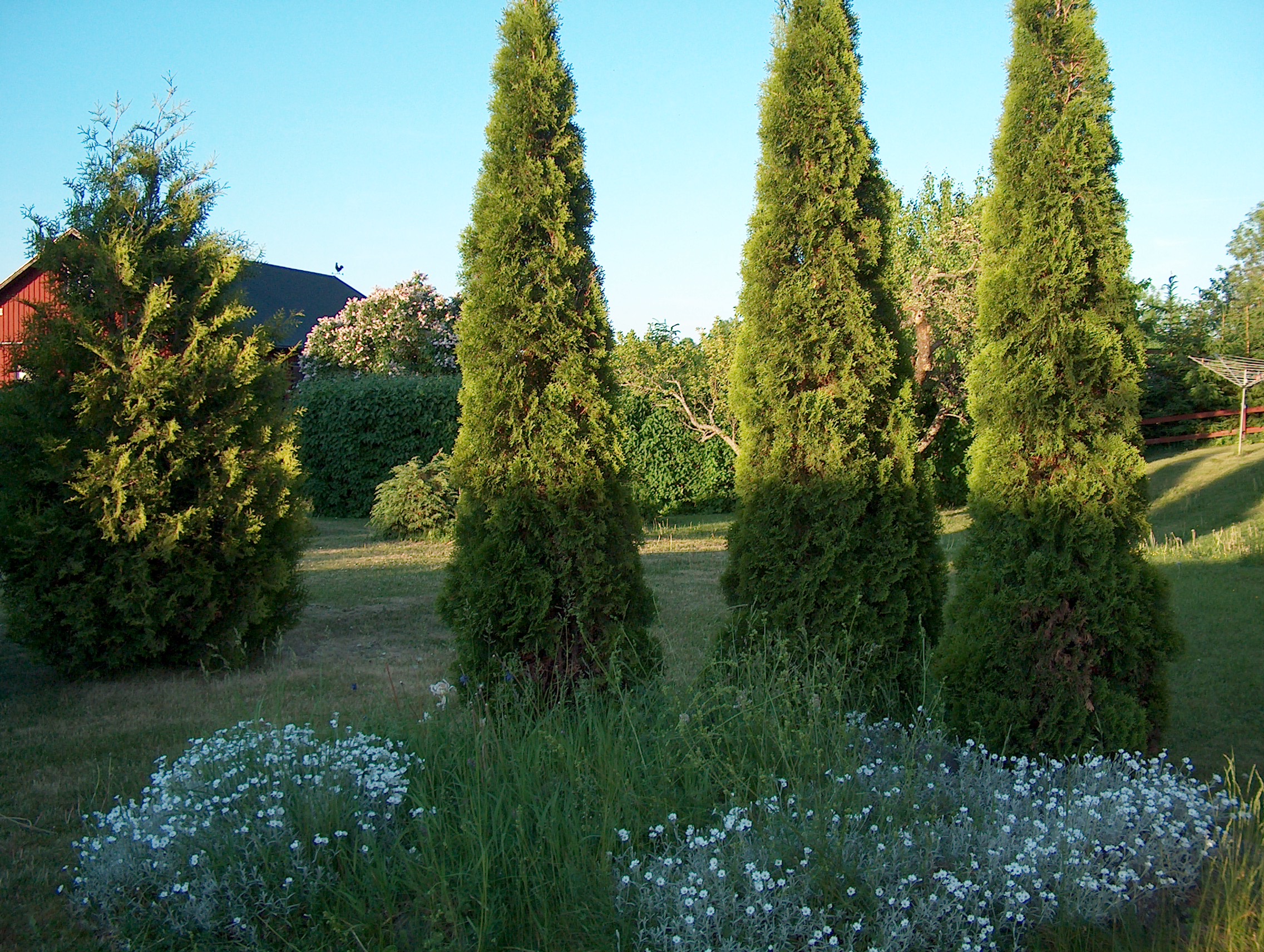 A Good Place to Think, Gullringstorp