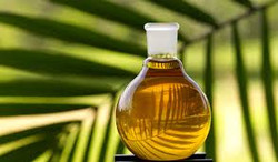 Palm Oil